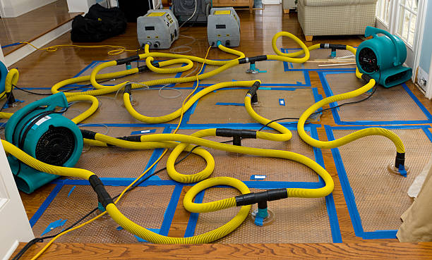 Professional Water Damage Restoration technician working in Oceanside, NY